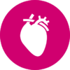 Cardiovascular