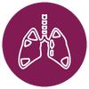 lung icon