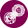 Globe icon